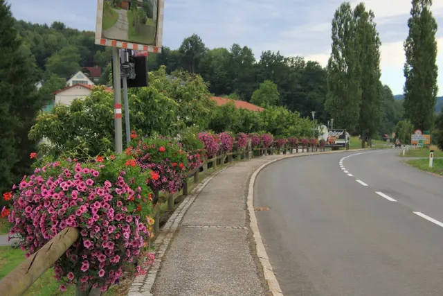 Schönster Blumenmarkt der Steiermark: Gamlitz | Foto: Blumenschmuckteam