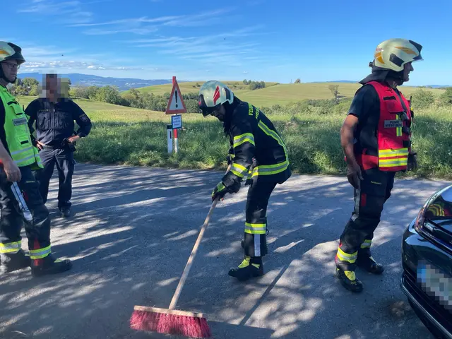 Fahrzeugbergung auf der Landesstraße 6140 in Wieselburg-Land | Foto: Doku NÖ