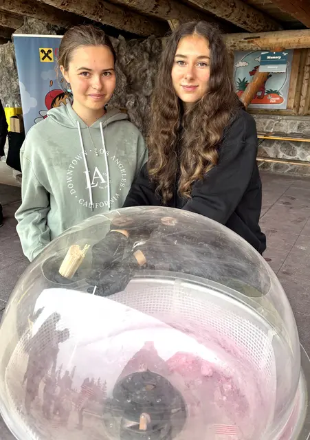 Am Stand von MeinBezirk Tirol gab es gratis Zuckerwatte für alle Sumsitag-Besucherinnen und -Besucher. | Foto: MeinBezirk/Johanna Bamberger