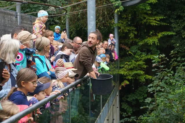 Großer Andrang bei der geführten Fütterung mit Magnus. | Foto: Huber