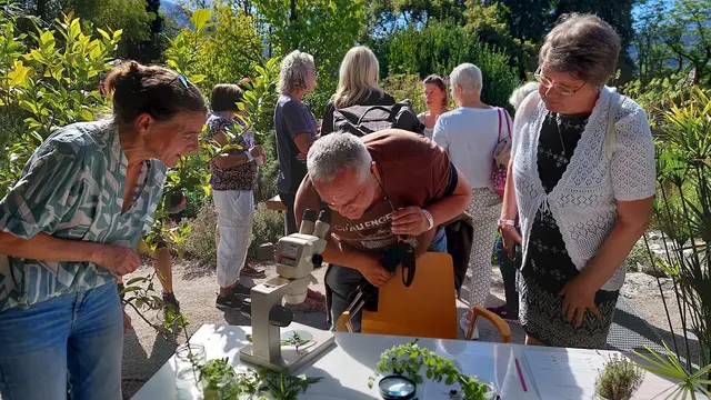Wissenswertes gab es auch im Botanischen Garten zu entdecken. | Foto: Orf/Graeff