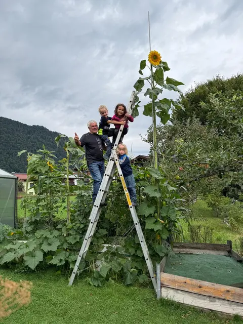 Pit Mark aus Kirchdorf und seine Enkelkinder Felix, Laurin und Mayla mit der 4,20 Meter hohen Sonnenblume 🌻 | Foto: Foto von Monika Mark