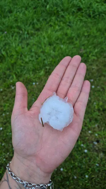 Hagelkörner dieser Größe schossen vom Himmel herab. Dieses "Exemplar" hat Janine Wörle in Pinswang fotografiert. | Foto: Janine Wörle