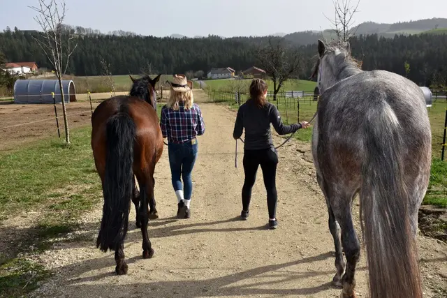 Steinkellnergut  | Foto: zin.