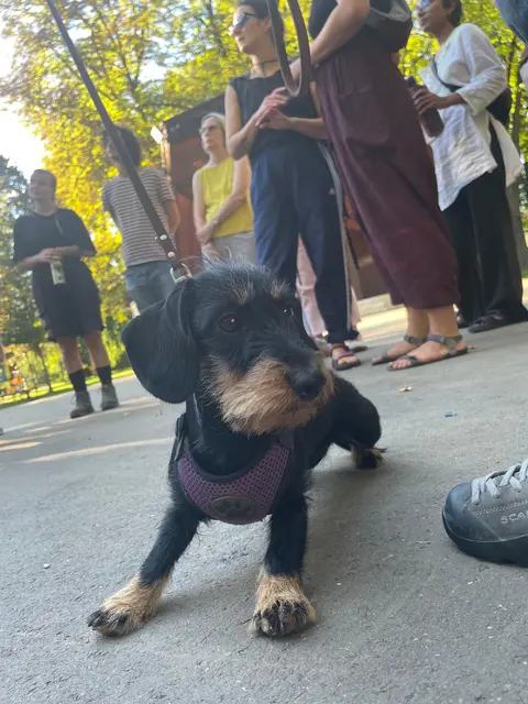 ... und natürlich auch für süße Vierbeiner.  | Foto: Iron Women