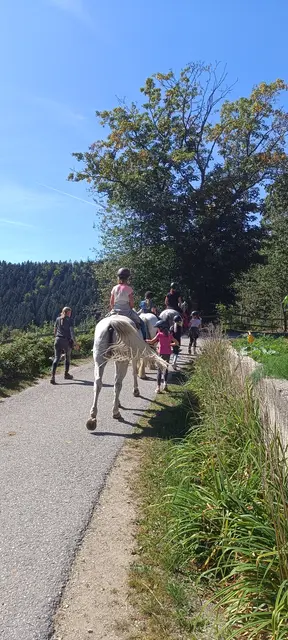Kinder Reitwoche am Erlebnishof Steinkellnergut.   | Foto: Steinkellnergut