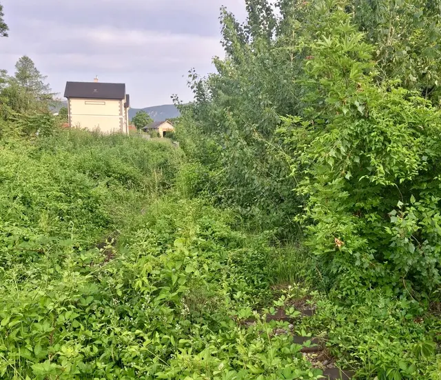 Der sogenannte Schlackenplatz ist zum Teil verwuchert. | Foto: privat