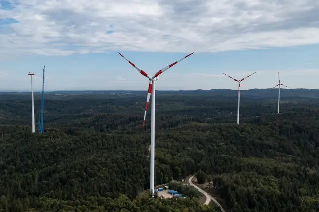 Foto: TEAM FOTOKERSCHI.AT / KALTENLEITNER