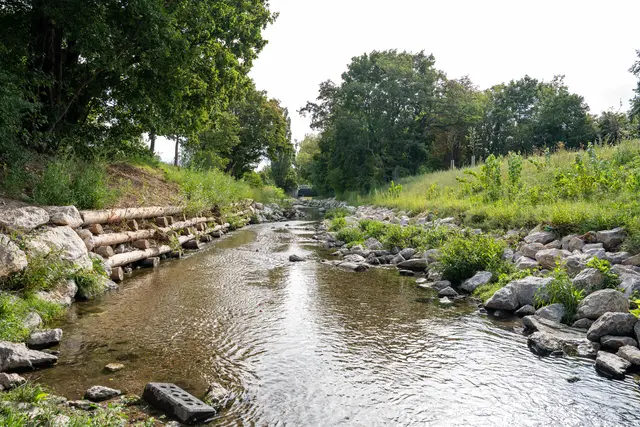 Dieser Abschnitt des Liesingbachs wurde bereits renaturiert.  | Foto: Valentina Marinelić/MeinBezirk
