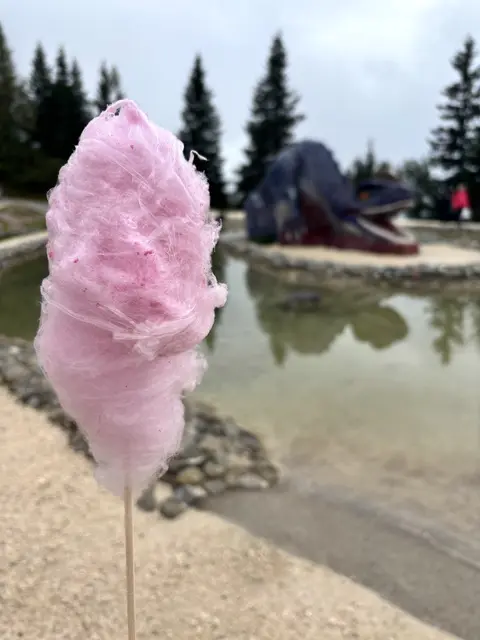 Foto: MeinBezirk/Johanna Bamberger