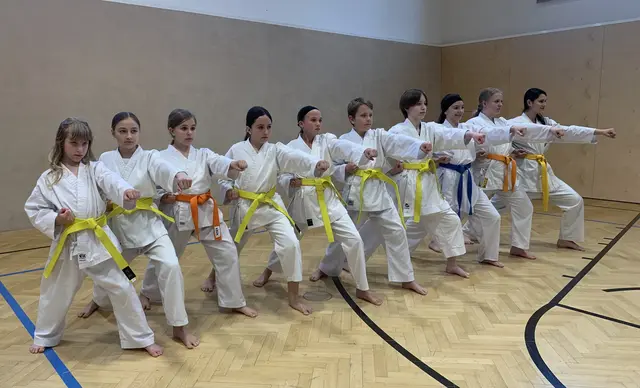Das Training der Kids der Karate Union Köflach | Foto: Karate Union Köflach