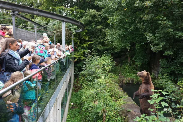 Die Orf Sommerfrische machte diese Woche Halt in Innsbruck. Auch ein Besuch im Alpenzoo stand auf dem Programm. | Foto: Huber
