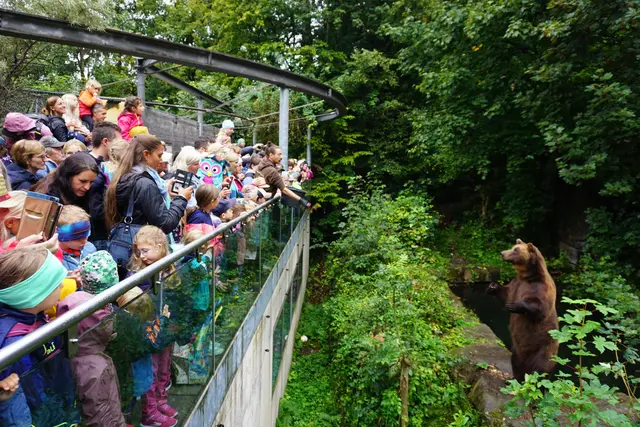 Wer ist hier neugieriger? | Foto: Huber