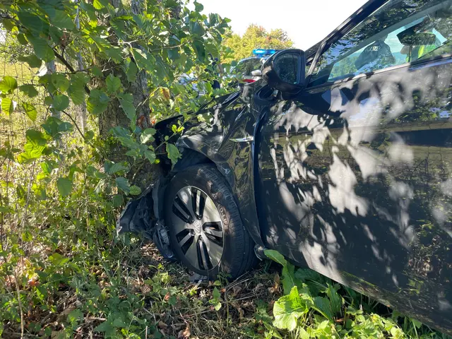 Fahrzeugbergung auf der Landesstraße 6140 in Wieselburg-Land | Foto: Doku NÖ