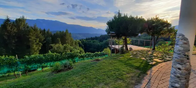 In der "Singolo Strato" kann man den Wein nicht nur verkosten, sondern auch Hochzeiten mit Blick in die Reben feiern. | Foto: zVg/Lagger