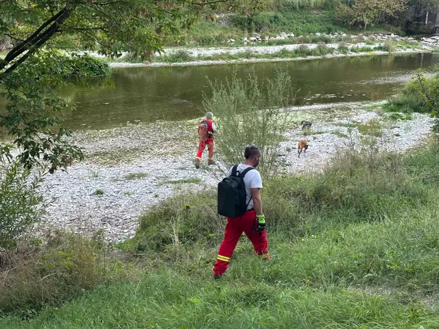 In enger Zusammenarbeit wurden die Suchmaßnahmen koordiniert und mehrere Gebiete in und rund um Traismauer systematisch abgesucht.  | Foto: DOKU-NÖ