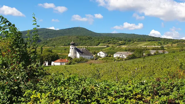 Foto: Philipp Steinriegler