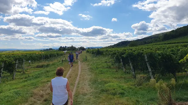 Foto: Philipp Steinriegler