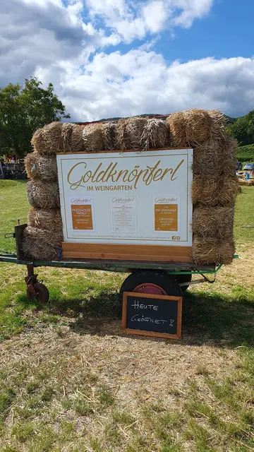 Foto: Philipp Steinriegler