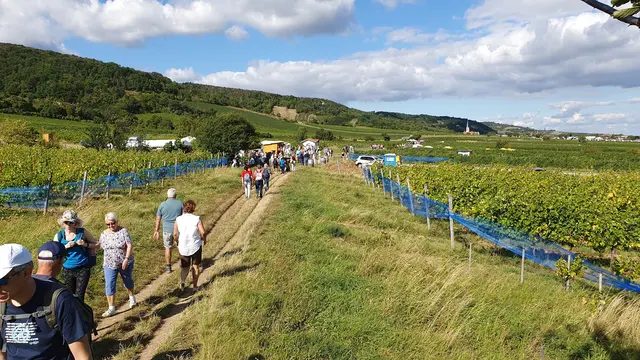 Foto: Philipp Steinriegler