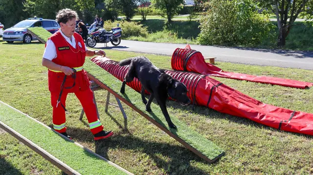 Die Rettungshundestaffel begeisterte die Besucher mit ihren Vorführungen. | Foto: Alexander Flaschberger | BFKDO Oberwart