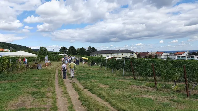 Foto: Philipp Steinriegler