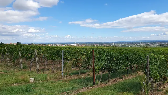 Foto: Philipp Steinriegler