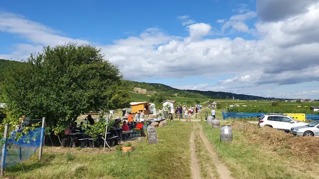 Foto: Philipp Steinriegler