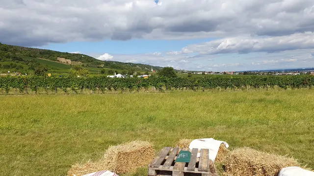 Foto: Philipp Steinriegler