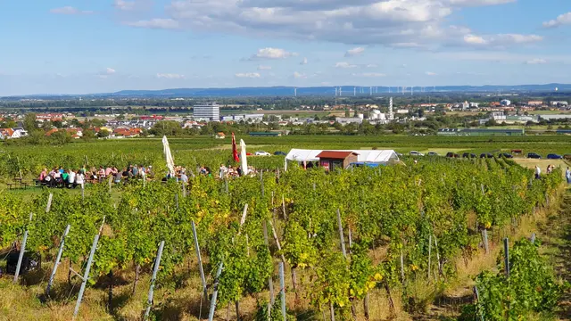 Foto: Philipp Steinriegler