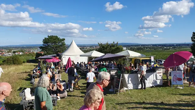 Foto: Philipp Steinriegler