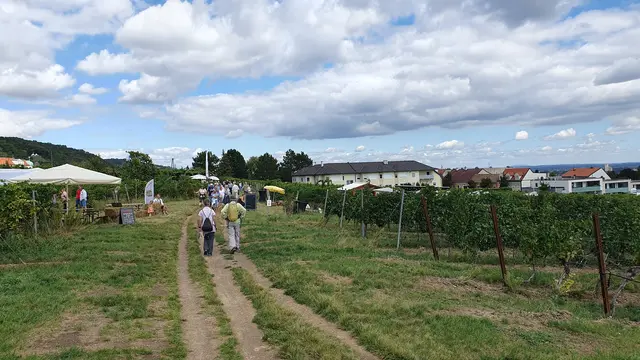 Foto: Philipp Steinriegler