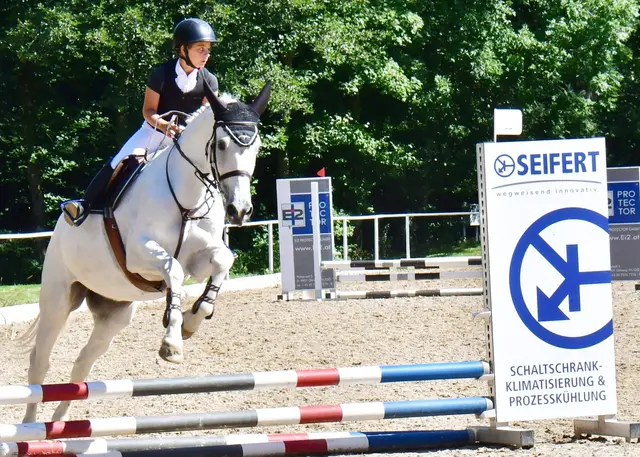 Hahn im Korb Alexander Baldinger