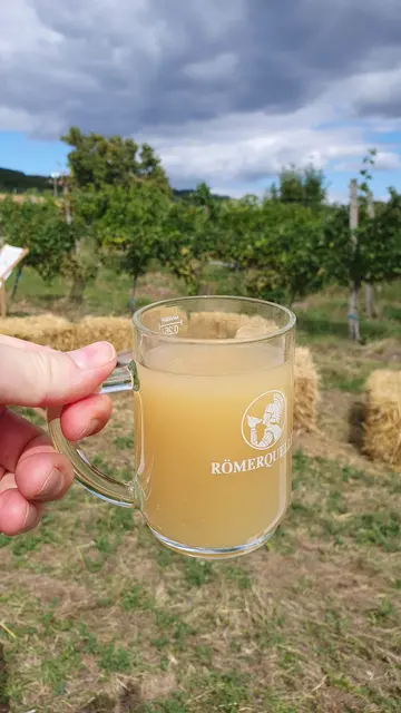 Foto: Philipp Steinriegler