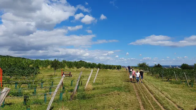 Foto: Philipp Steinriegler