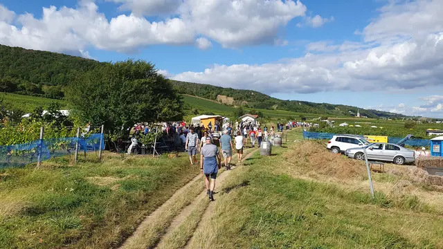 Foto: Philipp Steinriegler