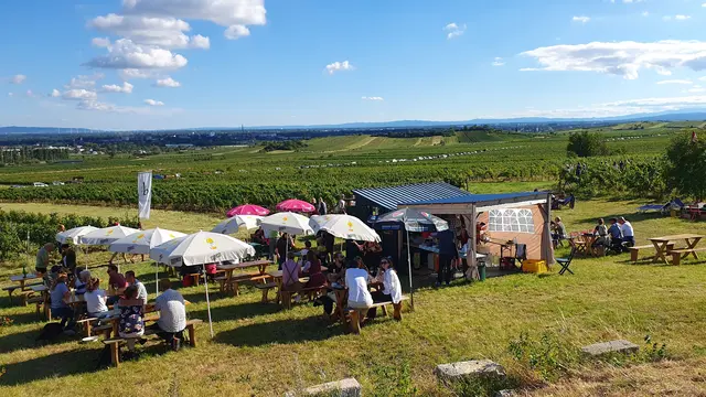 Foto: Philipp Steinriegler