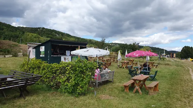 Foto: Philipp Steinriegler