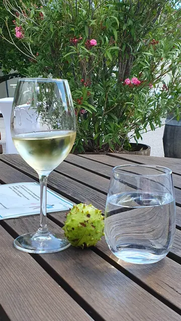 Foto: Philipp Steinriegler