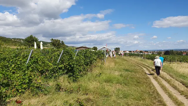 Foto: Philipp Steinriegler