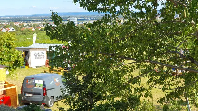 Foto: Philipp Steinriegler