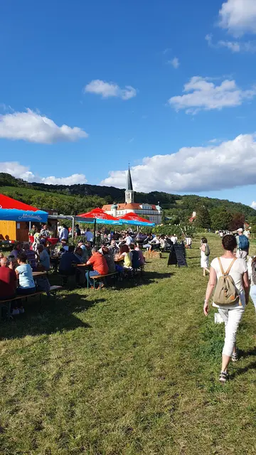 Blick auf Gumpoldskirchen | Foto: Philipp Steinriegler