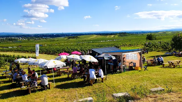 Einfach schön - die Standln in den Weinbergen | Foto: Philipp Steinriegler