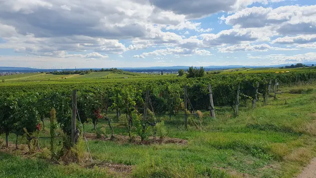 Foto: Philipp Steinriegler