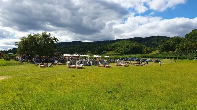 Blick auf das "Goldknöpferl" im Weingarten (sehr schön dort) | Foto: Philipp Steinriegler