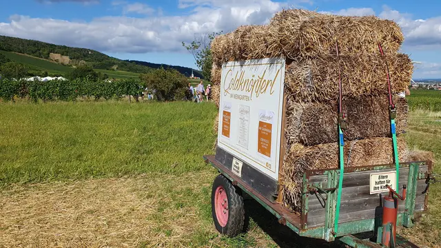 Foto: Philipp Steinriegler