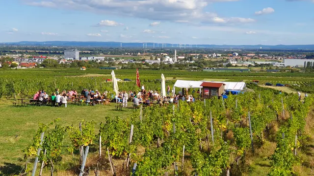 Foto: Philipp Steinriegler