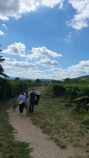 Foto: Philipp Steinriegler