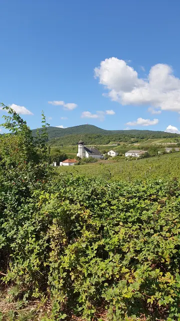 Foto: Philipp Steinriegler