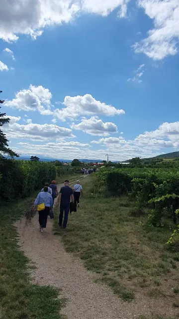 Foto: Philipp Steinriegler